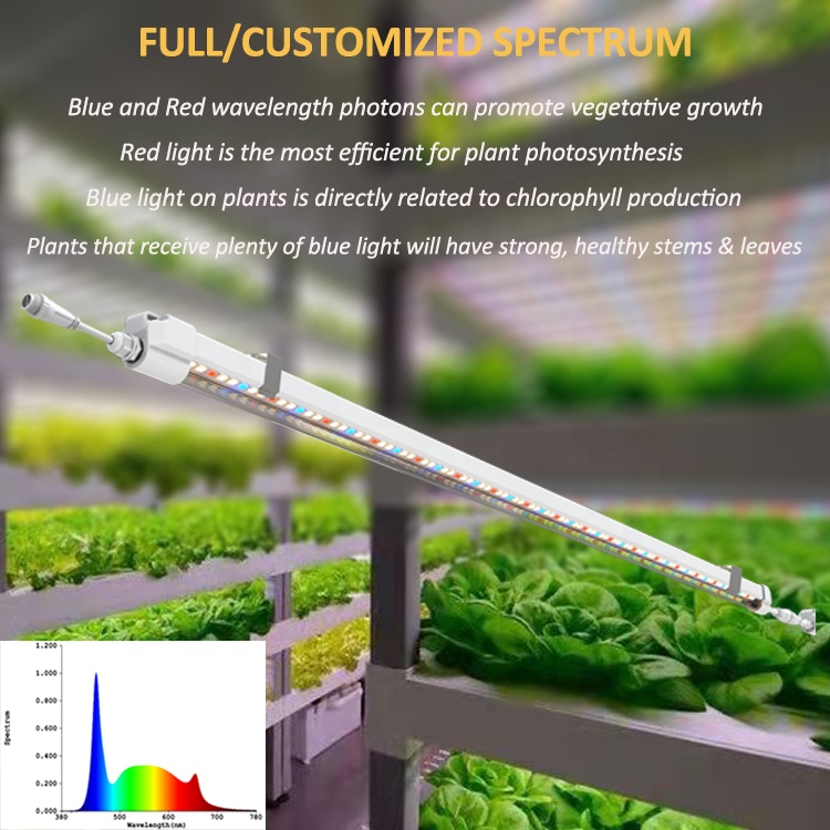 ไฟปลูก T5 ขนาด 4 ฟุต สำหรับระบ - Grow Light T5 บทวิจารณ์และราคา