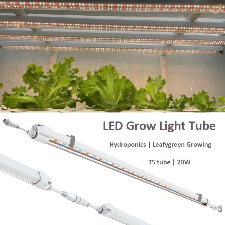 ไฟปลูก T5 ขนาด 4 ฟุต สำหรับระบ - Grow Light T5 บทวิจารณ์และราคา